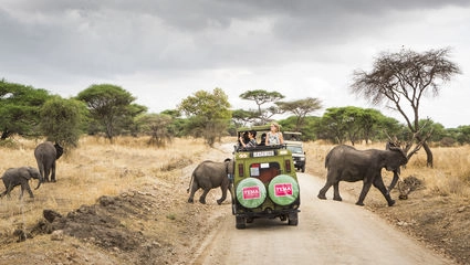 Safari till Serengeti med Zanzibar