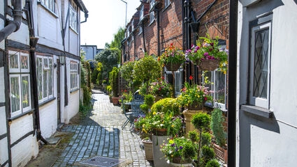 Södra England – Vin, slott och trädgårdar