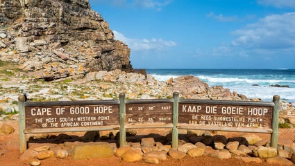 Sydafrikas bästa – Safari, valar och vingårdar