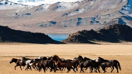 Rundresa i Mongoliet